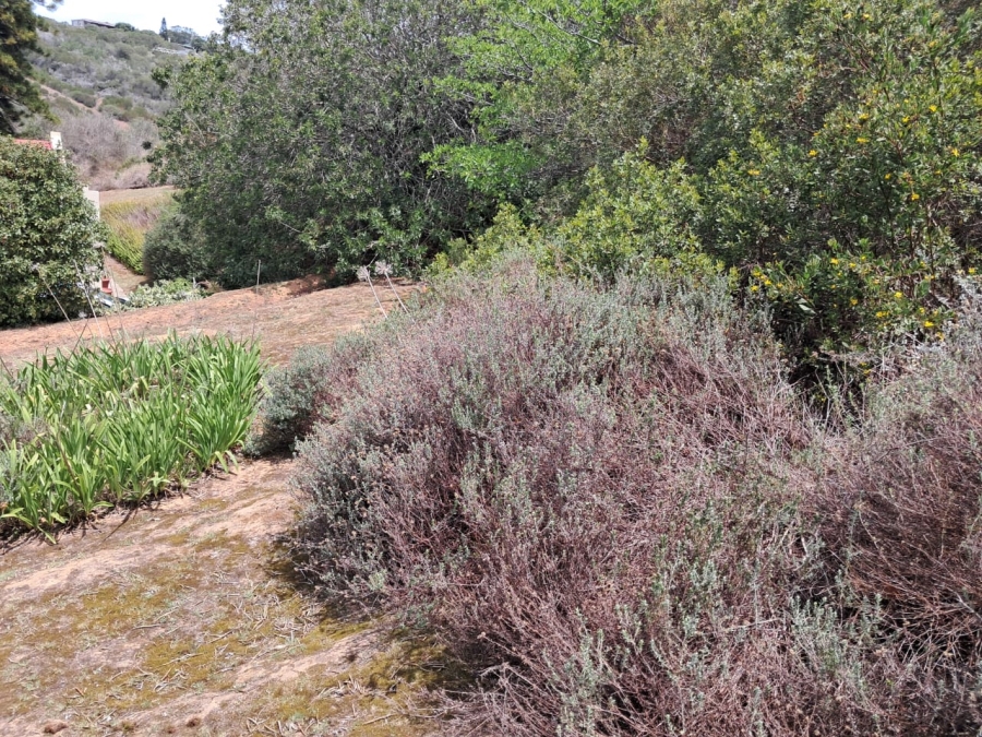 Commercial Property for Sale in Sandhoogte Western Cape